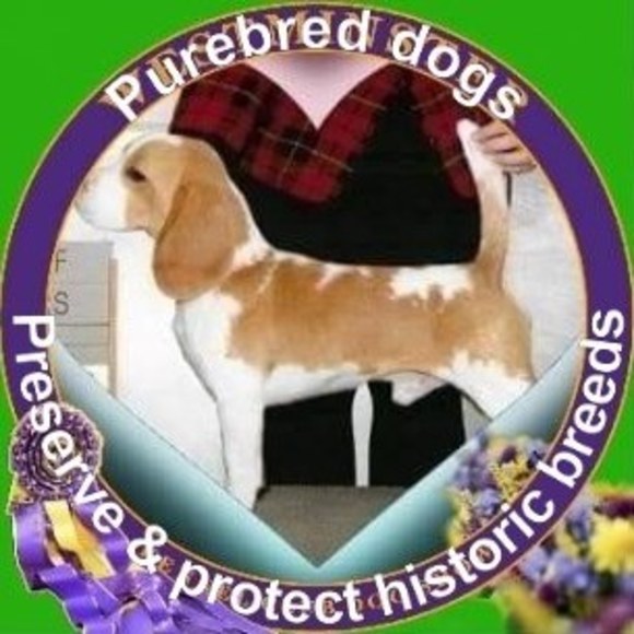 Meet your Posher, Caitlyn - Picture 1 of 1